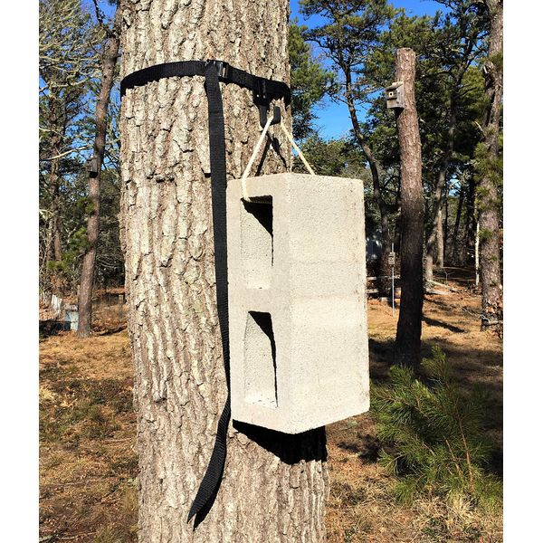 Swarm Trap Hanger - Hang Your Swarm Trap Quickly and with Confidence - NO More POUNDING in Nails! -Tree Friendly!