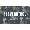 Resveratrol 500mg – Premium Polygonum Cuspidatum Extract – 2 Bottles 120 Capsule