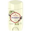 Wilderness For Men Anti-Perspirant & Deodorant, Lavender, 2.6 oz (Pack of 2)