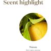 Young Living Thieves Essential Oil Blend 15ml, (Pack of 2) - Rosemary - Revitalized Breathing - Eucalyptus - Topically and Aromatically