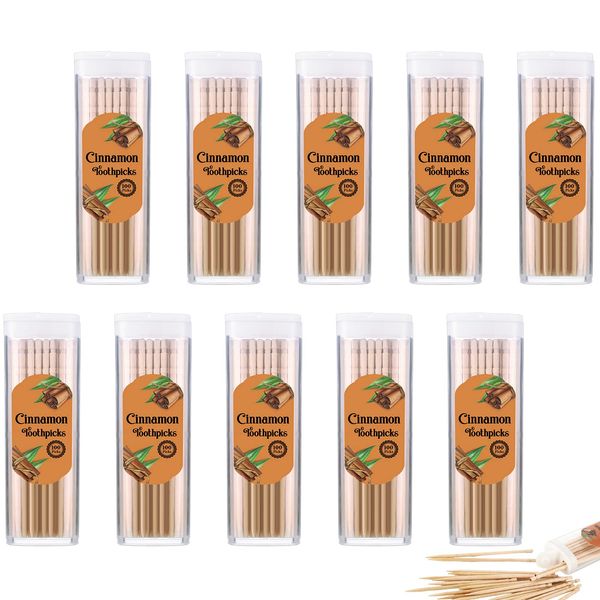 10 Pack Cinnamon Toothpicks Flavor Toothpicks Cinnamon Infused Flavored Toothpicks for Adults, 200 Pcs Toothpicks Total