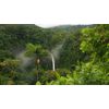 great natural - GRAVIOLA Leaf Extract 650 Mg - boost immune system - 1 Bottle