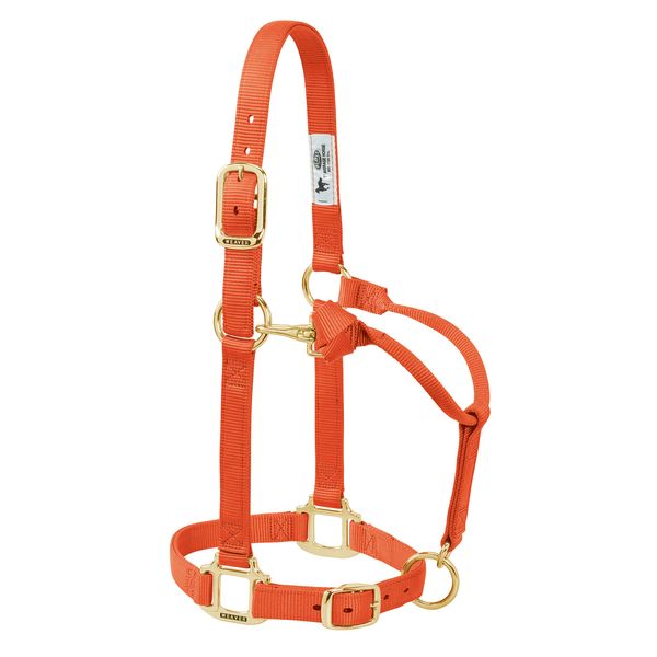 Weaver Leather Original Adjustable Nylon Horse Halter, Small Horse, Orange