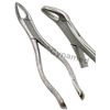 German Stainless Steel EXTRACTING Forceps #151 Dental Surgical Instruments