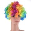 Pop Wig (bargain) - Rainbow