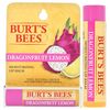 Burt's Bees Dragonfruit Moisturizing Lip Balms NEW