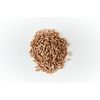 ROOF Original Compost Substrate, Electrical-free, Garbage Disposal, Bio-Type, Indoor Use, Compact, Roof