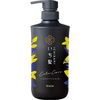 Ichikai Color Care & Base Treatment in Conditioner Pump, 16.9 oz (480 g), Color Care, Damage Care, Sulfate Free
