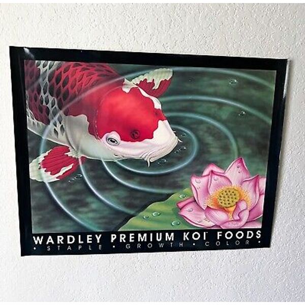 Vintage 90s WARDLEY Premium Koi Fish Foods Pet Store Poster