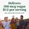 Vegan B12 30 Tablet