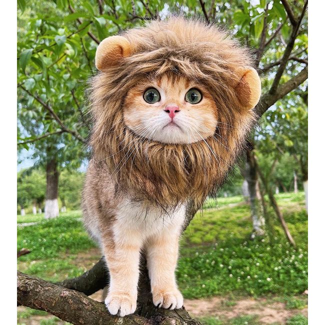 RosyLife Lion Mane Wig for Cat Costume Pet Adjustable Washable Comfortable Fancy Lion Hair Cat Clothes Dress for Halloween Christmas Easter Festival Party Activity (Brown)