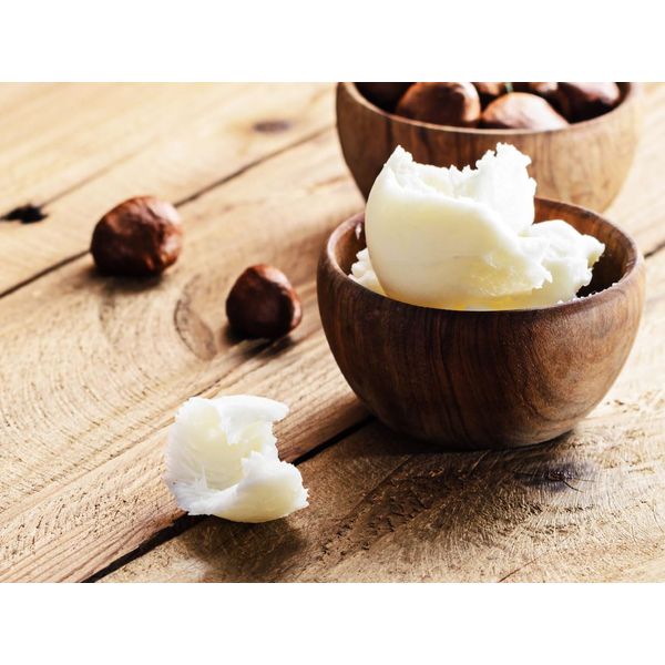 Queen of Shea East African Nilotica Shea Butter (4 oz, African Musk)