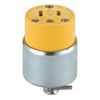 Leviton