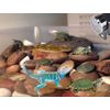 Turtle, Gecko, Lizard Automatic Feed Dispenser( Battery Operated /Quiet / Small)