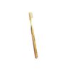 Plodent Proxident Slim Head Medium #1721P (#721) Toothbrush 16pcs