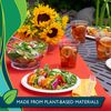 Hefty ECOSAVE 100% Compostable Paper Plates, 10-1/8 Inch, 16 Count