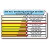 URINE COLOR CHART HYDRATION HIGH QUALITY WATERPROOF GLOSS UV DECAL STICKER