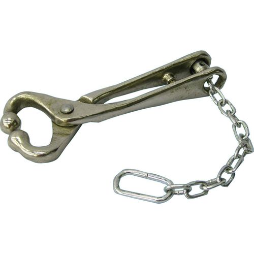 NEOGEN IDEAL 043-7001 11601 011601 Bull Lead with Chain