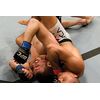 Ufc: Ultimate Submissions