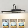 24" Picture Lights for Wall Battery Operated with Remote and Timer, Wireless Art
