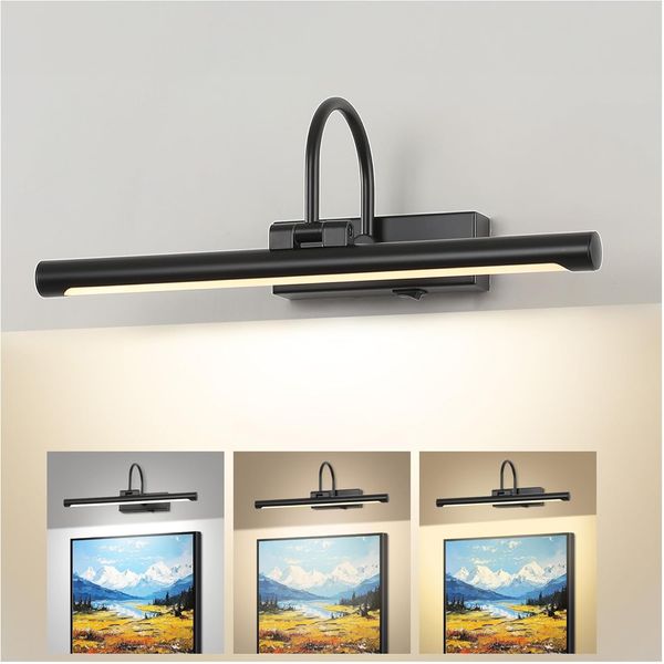 24" Picture Lights for Wall Battery Operated with Remote and Timer, Wireless Art