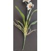ARTIFICIAL miltoniopsis orchid plant CREAM