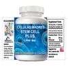 MADRE CELL- 1000 MG- STEM CELL 120 CAPSULES VITAL PLUS CELULAS MADRES