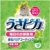 GEX Gex Rabbit Pika Daily Cleaning 10.1 fl oz (300 ml)