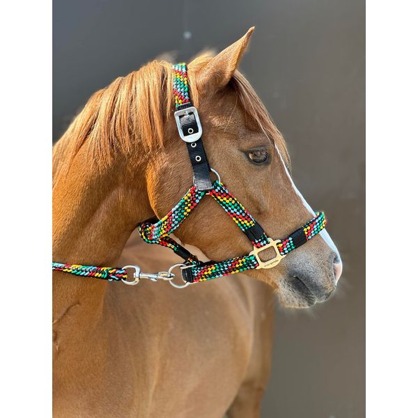 Equipride Braided Headcollar Lead Rope Set Size Full-Shetland (Cob, Multicoloured)