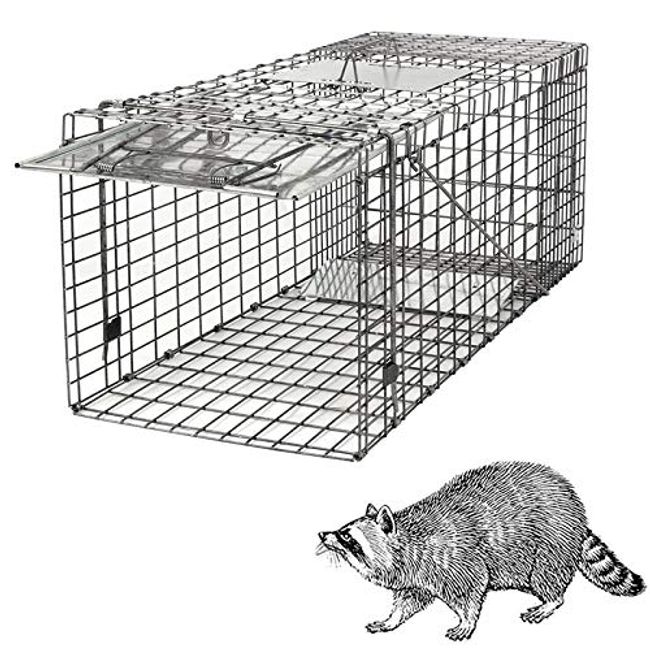 Collapsible Live Animal Cat Traps Cage for Cats Squirrels Weasals