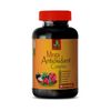 Antioxidant supplement men - ANTIOXIDANT MEGA COMPLEX - Goji berry pills 1B