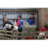 Our Yorkshire Farm: Series 1&2 [DVD] [2018]