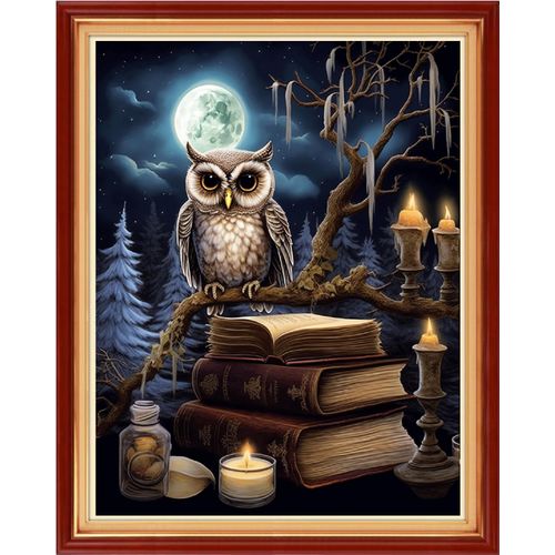 Redxing Stamped Cross Stitch Kits Full Range of Embroidery Starter Kits- Needlepoint Counted Cross Stitch Kits for Beginner Adults 11CT Printed Embroidery Kit-Owl Moon 16x20 inch