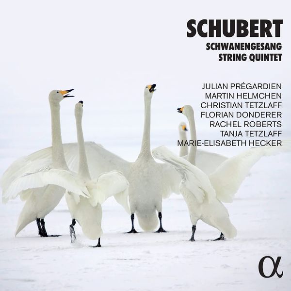 Schubert: Schwanengesang / Streichquartett D.956