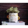 Cute  Face Planter Smiley Succulent Pot, 3 Inch Ceramic Plant Pot