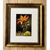 RIOLIS Counted Cross Stitch Kit 6"X8.25"-Lily and Lime (14 Count)