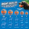 ChuckIt! Canine Hardware Medium Ultra Balls Classic 4-Pack,Orange