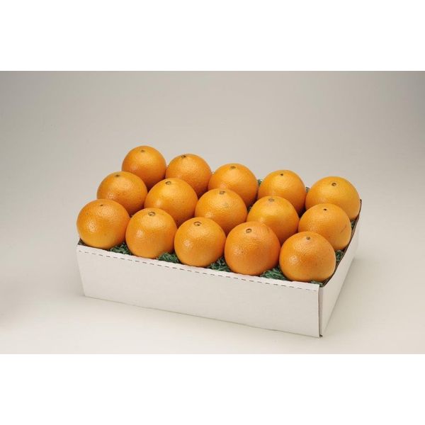 Florida Navel Oranges 10 Lb Box