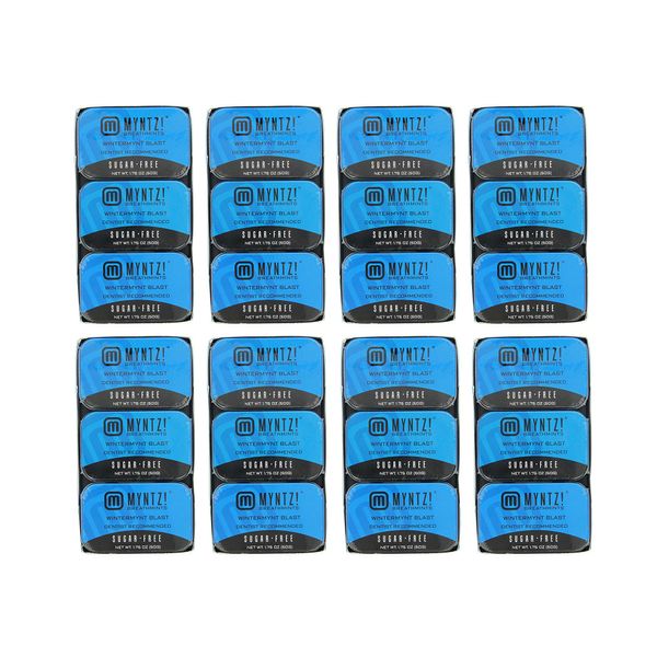 Myntz Blast Breathmints, Sugar Free 1.75-Ounce Containers (Wintermynt, 48 Pack)