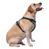 Cute Dachshund No Pull Dog Harness Adjustable Soft Padded Pet Vest with Easy Control Handle Large