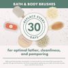 ECO Body Back Bath Brush - Shower Brush with Long Handle, Back Washer Scrubber