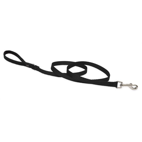 LupinePet Basics 1/2" Black 4-foot Padded Handle Leash for Small Pets