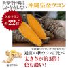 Ryukyu Shugo Densetsu 120 Packets (6 Bags x 20), Spring Turmeric (Made in Miyakoshima) and Autumn Turmeric (Okinawa Ohgon)