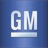 New Genuine GM Door Hinge Check Roller Lower Set (x2) OE 20058035