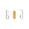Aged Garlic Extract™, Curcumin, 50 Capsules