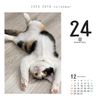 CK-C25-02 Cat Turning 2025 Calendar, Refill, Day Dive