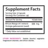 Gourmet wellness - AFRICAN MANGO EXTRACT - Flavorful nutrients 2 Bottle