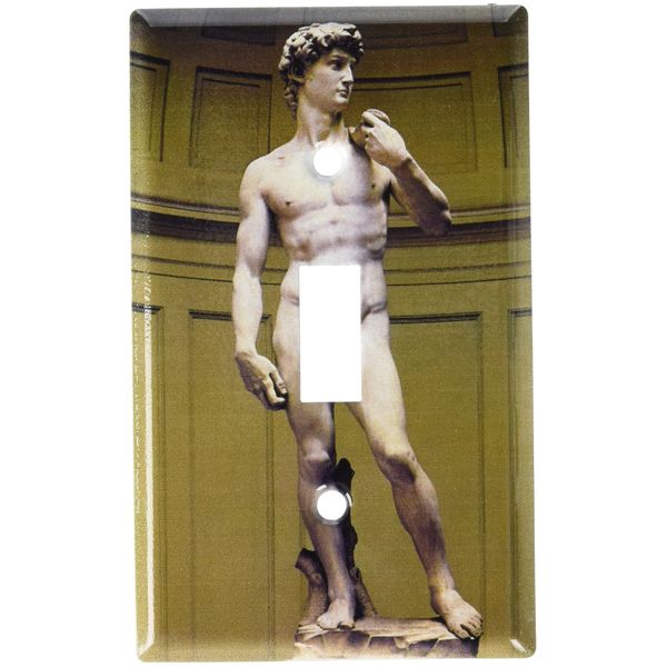 Art Plates - Michelangelo's David Switch Plate - Single Toggle