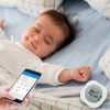 Inkbird Hygrometer Temperature Humidity Thermometer Tank Sensor Bluetooth Remote