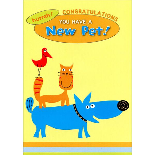 Bird Cat and Dog Designer Greetings New Pet Congratulations Card